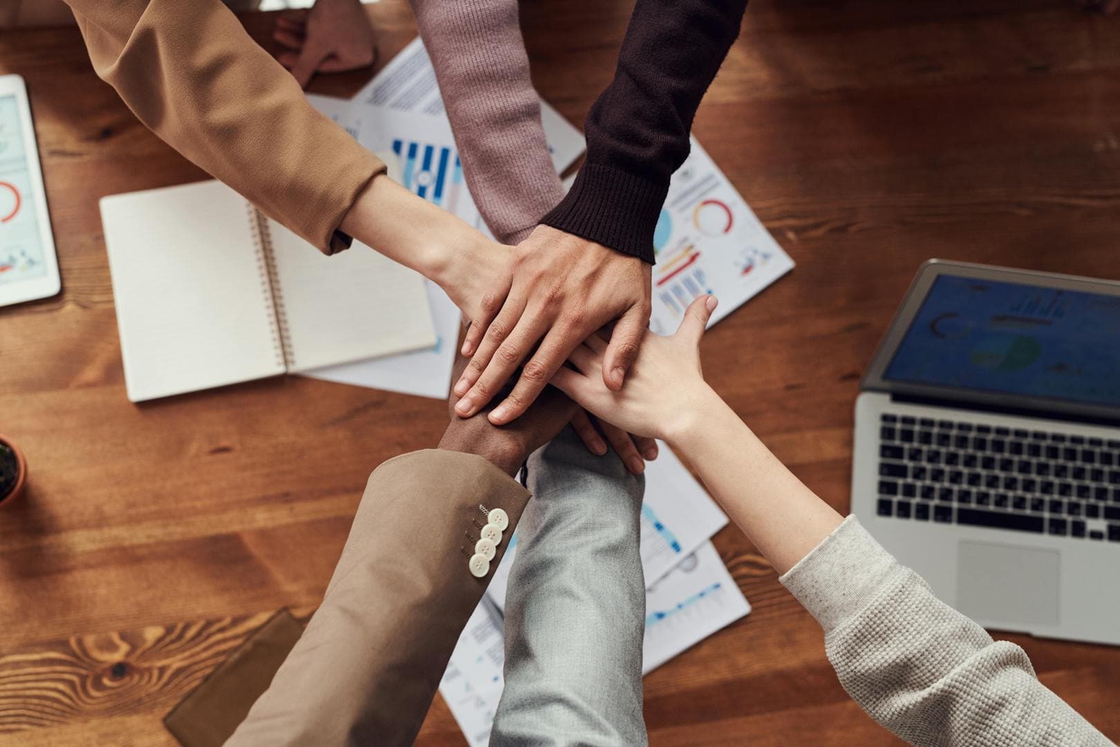 OZC Web - Arrière-plan section statistiques
